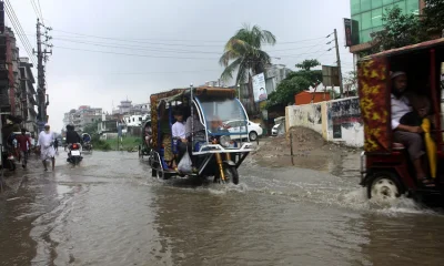 ছবি- ফোকাস বাংলা