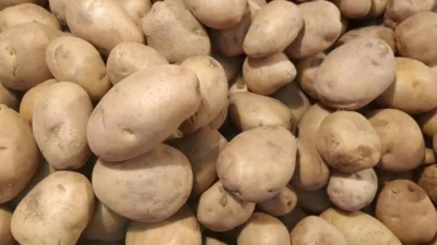 আলু। 