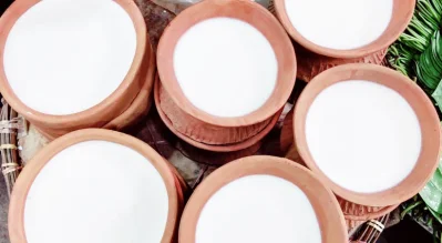 প্রস্তুত হচ্ছে দই