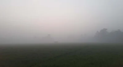ঘন কুয়াশায় ঢাকা ফসলের মাঠ