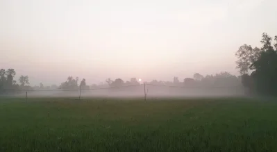 কুয়াশা ভেদ করে উঁকি দিয়ে সূর্য