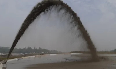 ফাইল ছবি (সংগৃহীত)
