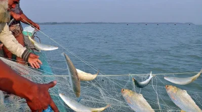 ছবি- সংগৃহীত