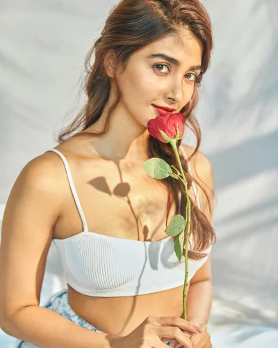 পূজা হেগডে। ছবি: সংগৃহীত