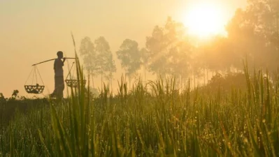 হেমন্তের সকালে শিশির ভেজা ঘাস আর হালকা কুয়াশায় প্রকৃতিতে বেজে ওঠে শীতের আগমনী বার্তা।