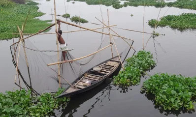 তিতারকূল এলাকায় বিলে খর জাল দিয়ে মাছ ধরছিলেন সুধন্য দাস।