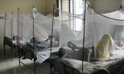 ছবি: ফোকাস বাংলা