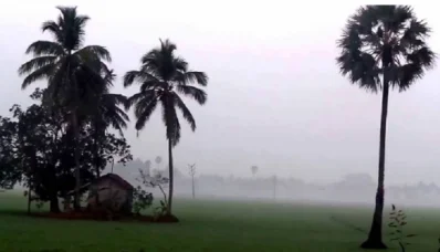 ভোরে দেখা দিচ্ছে কুয়াশা।
