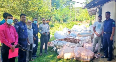 জব্দ করা প্রায় ২ হাজার কেজি ভেজাল মরিচ