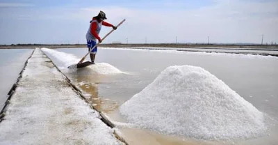 উপকূলীয় এলাকায় লবণ উৎপাদন