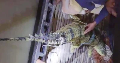 ছবি: ইত্তেফাক