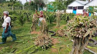 ছবি: ইত্তেফাক