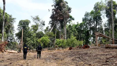 ২০২১ সালেই অ্যামাজনে বন উজাড়ের হার বেড়েছে ৪৮ শতাংশ