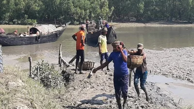 সাগরে মাছ ধরে চরে নিয়ে আসছেন জেলেরা