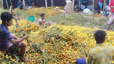 ছবি: ইত্তেফাক 