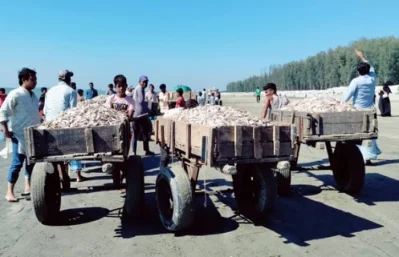 ছবি- সংগৃহীত