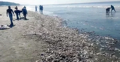 ছবি- সংগৃহীত
