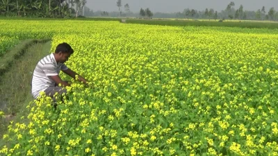 ছবি: ইত্তেফাক