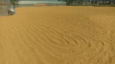ছবি: ইত্তেফাক