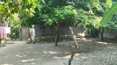 গ্রেফতার আতঙ্কে ঘরছাড়া কৃষকের বাড়ি। ছবি: ইত্তেফাক