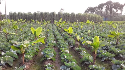 ছবি: ইত্তেফাক