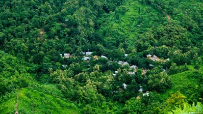 ছবি- সংগৃহীত