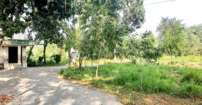 অযত্নে পড়ে আছে ঈশ্বরদী বেনারসি পল্লী। ছবি: ইত্তেফাক