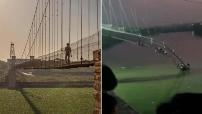 কয়েকদিন আগে গুজরাটের মরবি ব্রিজ ধসে পরায় সরকারের সমালোচনা করে সাকেত টুইট করেছিলেন।