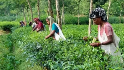 ছবি: ইত্তেফাক