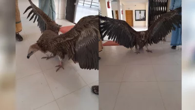 ছবি: ইত্তেফাক