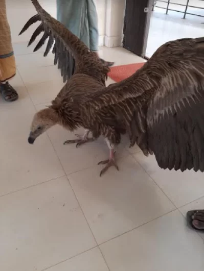 ছবি: ইত্তেফাক