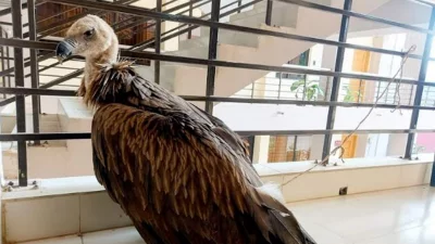 ছবি: ইত্তেফাক