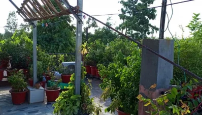 ভারতের দিল্লির এক বাসিন্দা ছাদে সৌর প্রণালী বসিয়ে বিদ্যুৎ উৎপাদন করছেন।