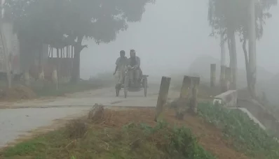 ছবি- সংগৃহীত
