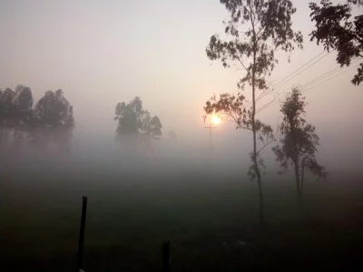 ছবি- সংগৃহীত