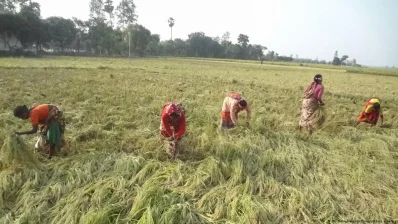 ছবি: ডয়চে ভেলে