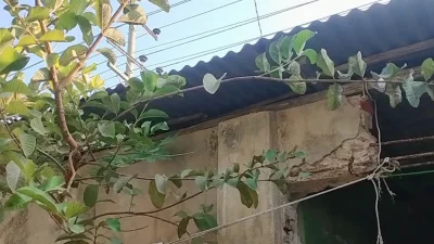 টেকনাফের হোয়াইক্যং স্টেশনে বাদশা মিয়ার অফিসের পেছনের অংশ। ছবি: ইত্তেফাক&nbsp;