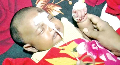 ছবি- সংগৃহীত