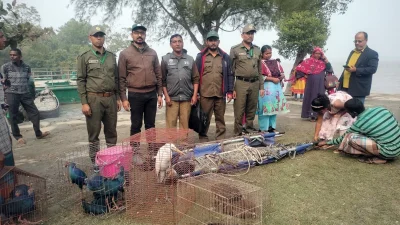 বিভিন্ন জায়গা থেকে উদ্ধারকৃত কুমির, তক্ষক ও পাখি অবমুক্ত করা হয়েছে