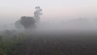 তেঁতুলিয়ায় ঘন কুয়াশয় জেঁকে বসেছে শীত। ছবি: ইত্তেফাক