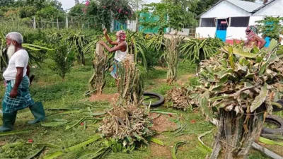 ছবি: ইত্তেফাক