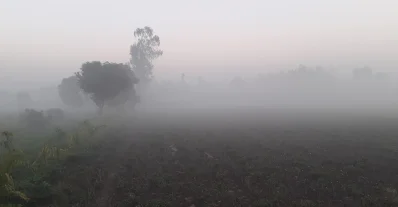 পৌষের কুয়াশায় জেঁকে বসেছে শীত। ছবি: ইত্তেফাক