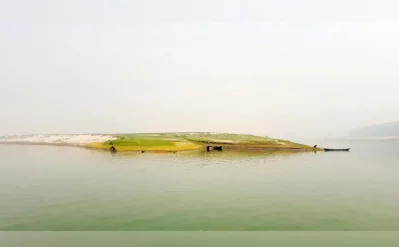 যমুনা নদীতে জেগে উঠেছে চর। ফাইল ছবি