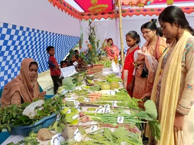 মেলায় শত প্রকার ফসল, ফল-ফুল, ঔষধি গাছ, বিলুপ্তপ্রায় চাল ও মধু প্রদর্শণ করা হয়। ছবি: ইত্তেফাক
