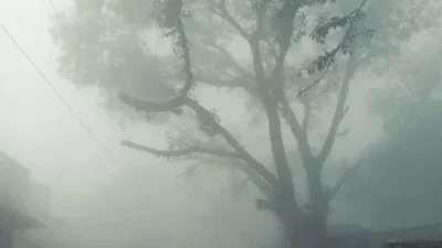 ছবি- সংগৃহীত