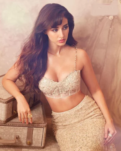 দিশা পাটানি
