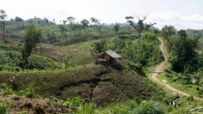 ছবি: ডয়চে ভেলে