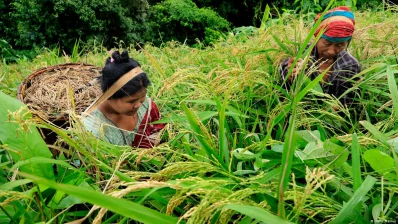 ছবি: ডয়চে ভেলে