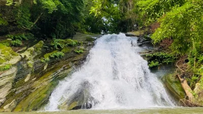 কিছুদুর পরপর ছোটখাট ঝর্ণাধারা বয়ে চলে