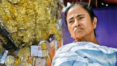 ভারতের শিলিগুড়িতে মুখ্যমন্ত্রীর সভায় ছাত্রদের নষ্ট বিরিয়ানি দেওয়া হয়েছে।